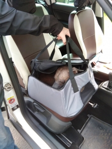 Автогамак-переноска для перевозки кошек и некрупных собак в салоне автомобиля, серый